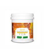 Apprêt peinture pour murs et boiseries int/ext (1L/10m2) Natura