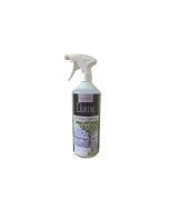 Dégriseur bois origine minérale 1L (6m2)