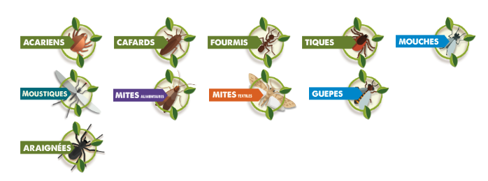 Spray insecticide action foudroyante Tous insectes, 200 ml